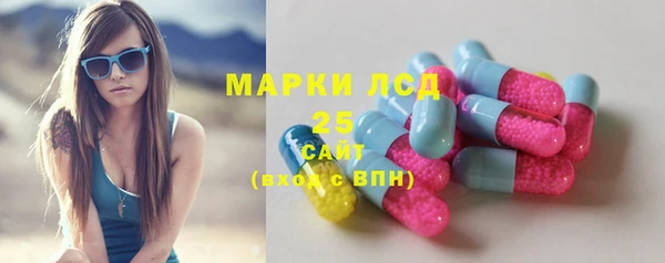 гидра Балахна