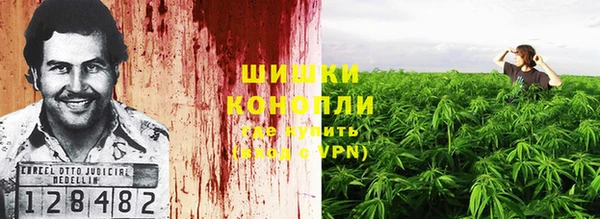 гидра Балахна