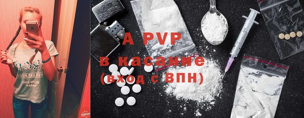 PSILOCYBIN Балабаново