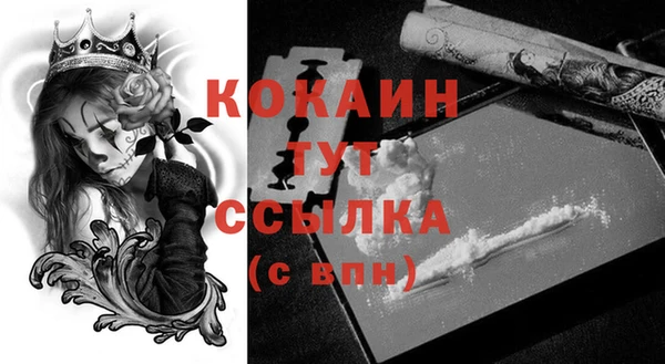 гидра Балахна