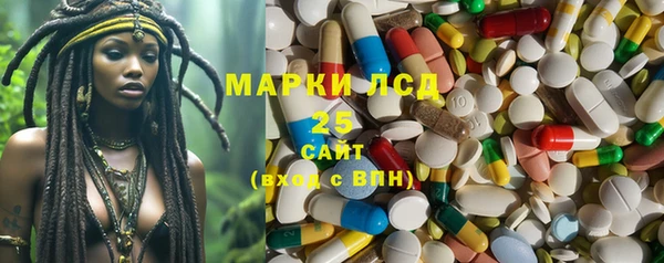 PSILOCYBIN Балабаново